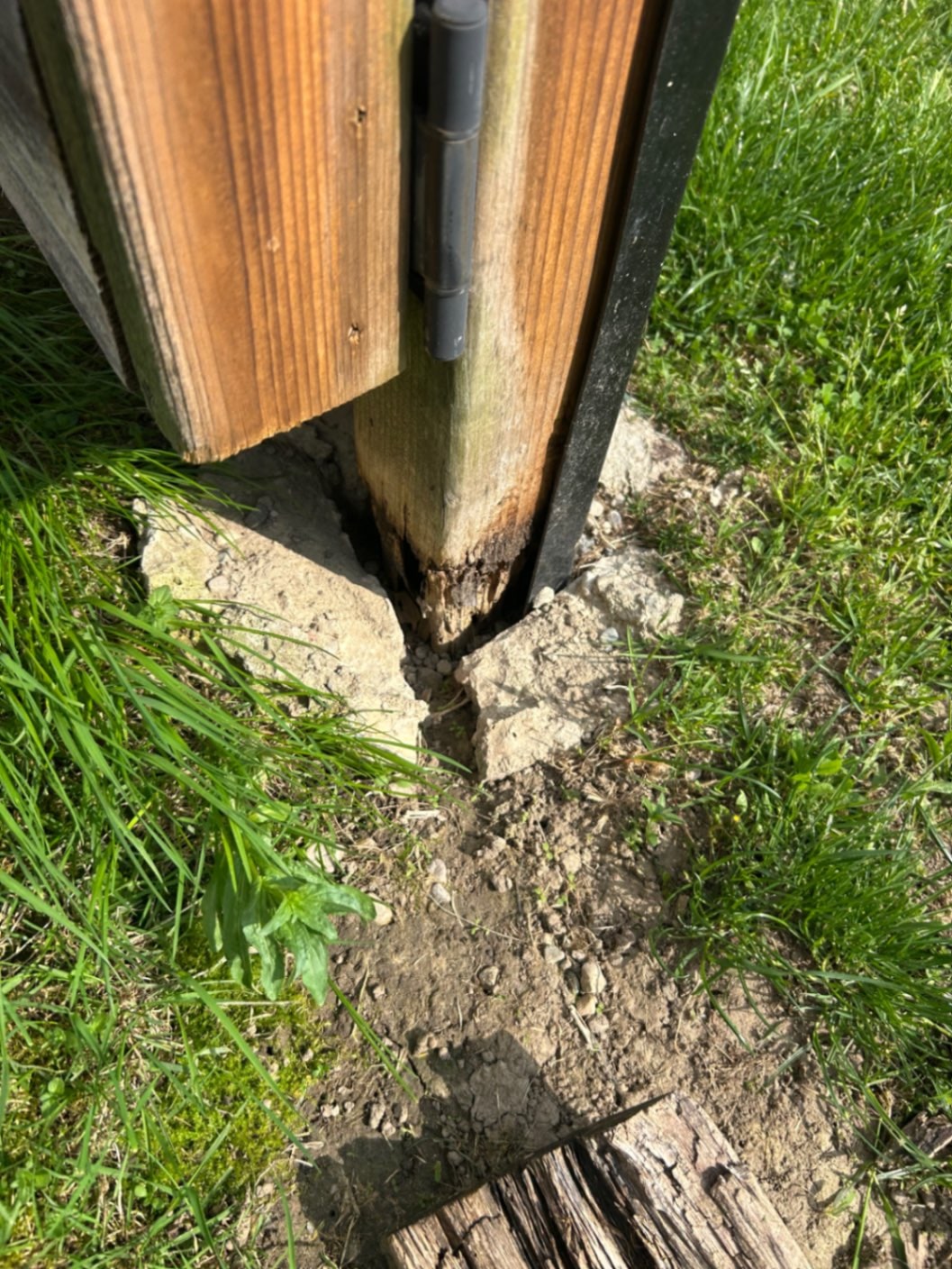 A gate post snapped clean at grade inside its cracked concrete collar, with an angle-iron stake driven beside it as a last improvisation — Caledon, Ontario, May 2026.