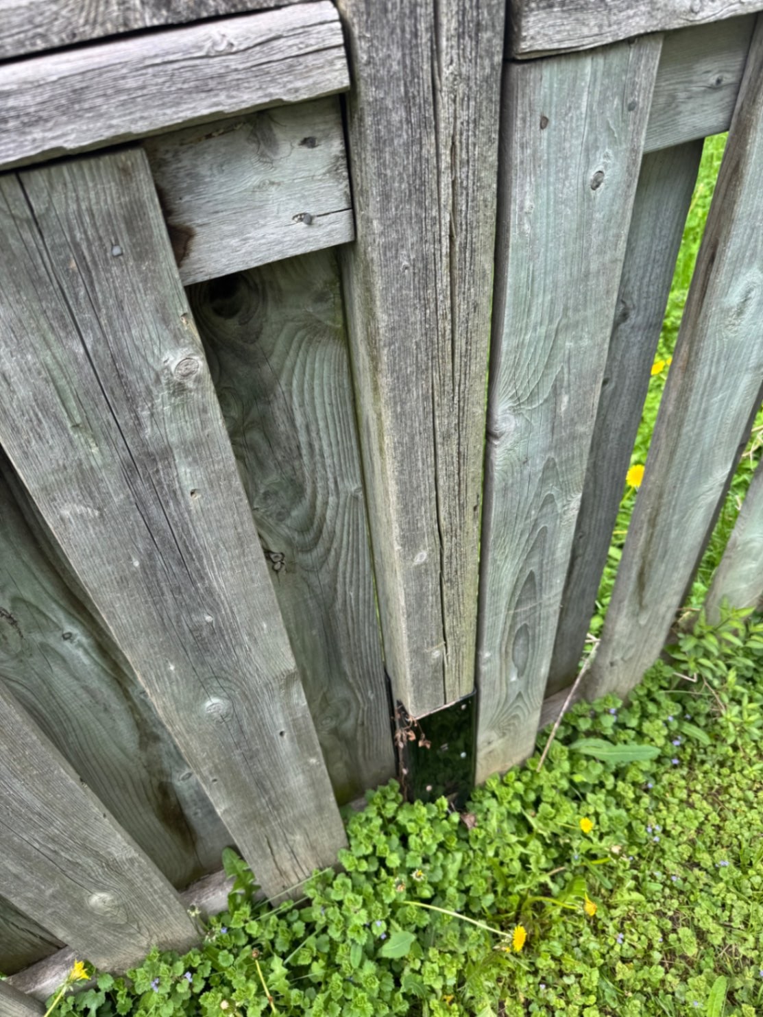 A black mender plate at the base of a fence post that is cracking apart above it — New Tecumseth, Ontario, May 2026.
