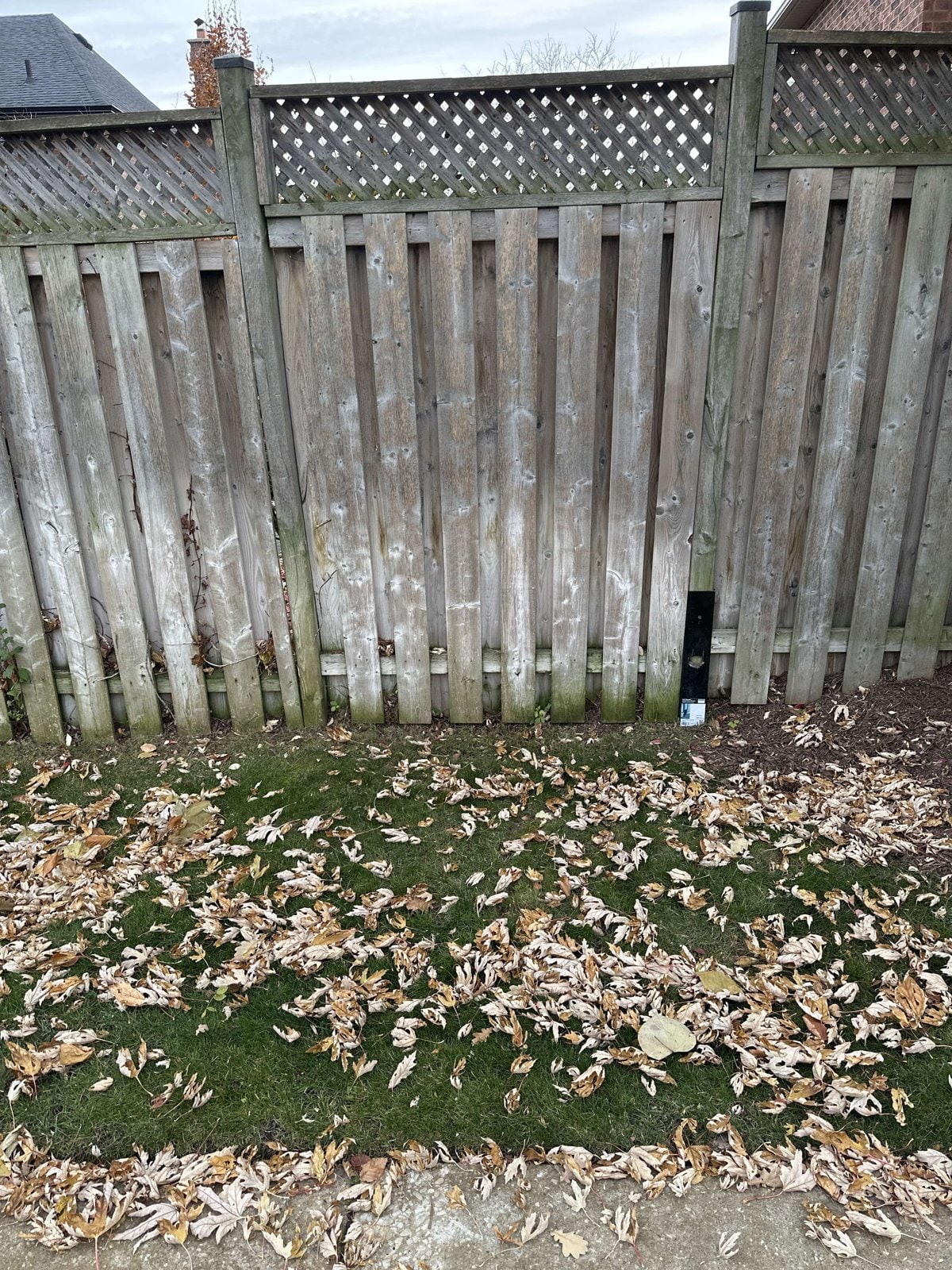 A black E-Z Mender on a lattice-top fence post with what appears to be the product's retail packaging still sitting at its foot — Oakville, Ontario, November 2025.