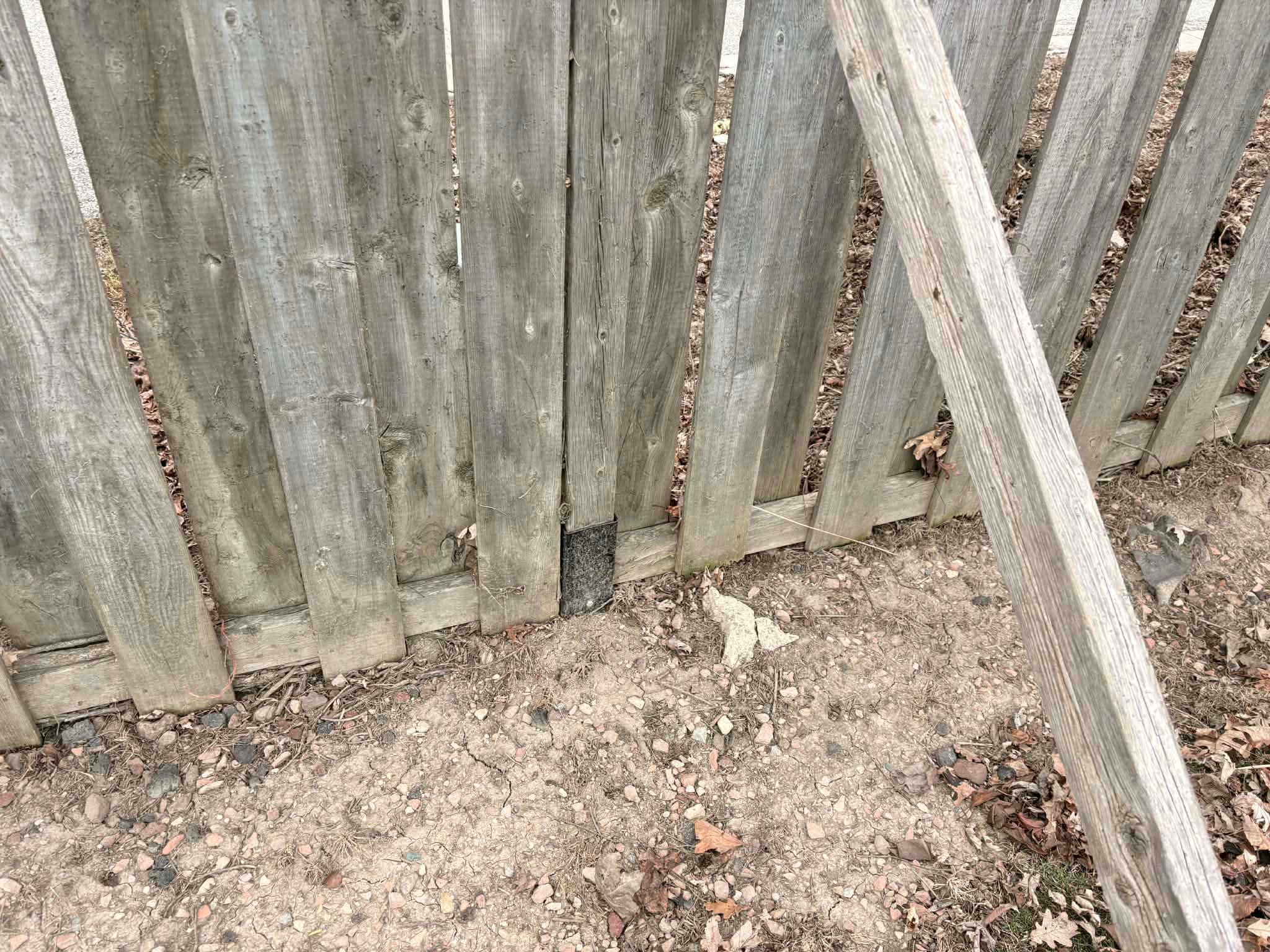 A black E-Z Mender plate standing a foot above grade behind the pickets of a badly leaning fence, with a lumber prop doing the job the mender was bought for — Windsor, Ontario, March 2026.