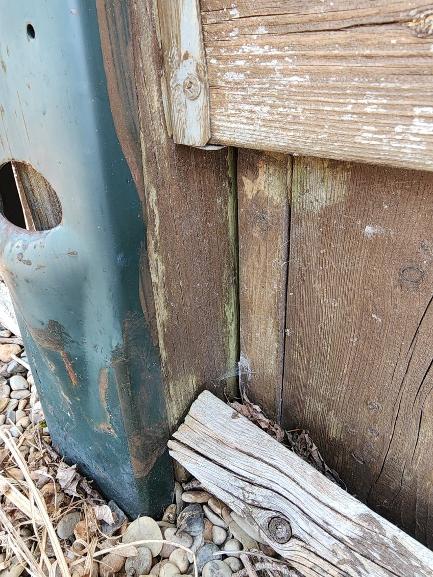 Close-up of a green spiked post base, punched steel rusting through, still clamped around a post the fence gave up on — Tilbury, Ontario, July 2025.