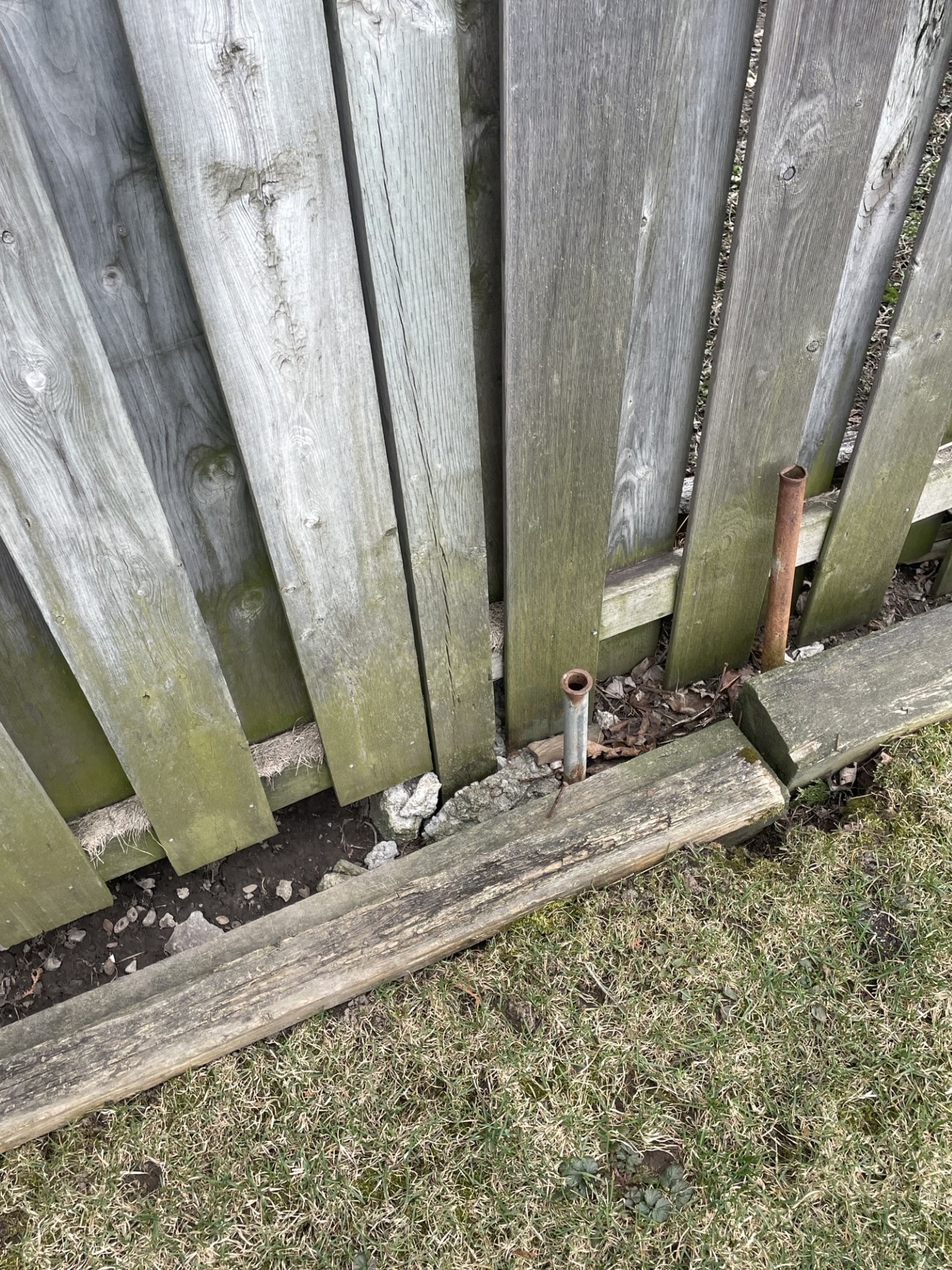 Two rusted hollow pipes driven at a rotted post base — an improvised repair that left the kickboard on the lawn and the fence exactly where it was — Maple, Ontario, April 2025.