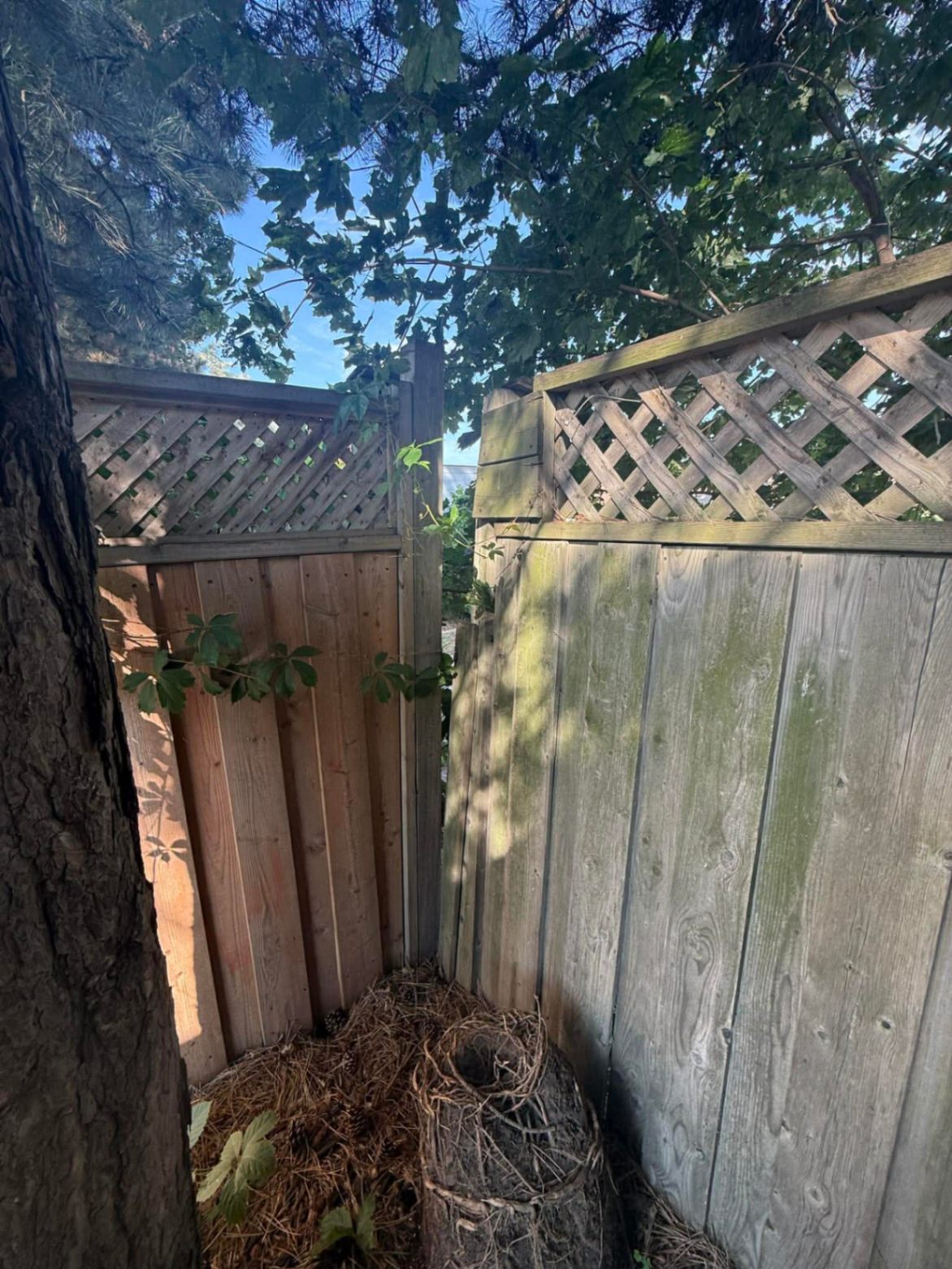 Customer-submitted photo of a failing fence estimated at 8–15 years old (example 10)