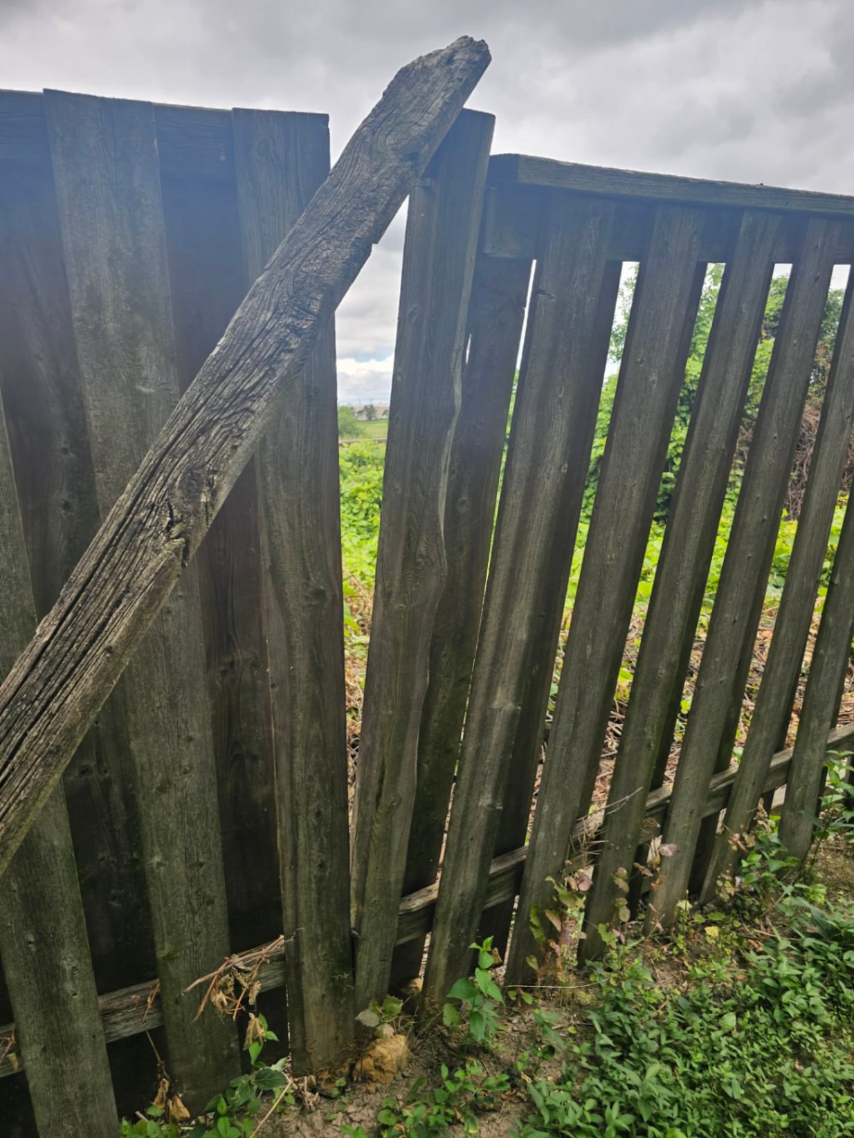 Customer-submitted photo of a failing fence estimated at 15+ years old (example 1)
