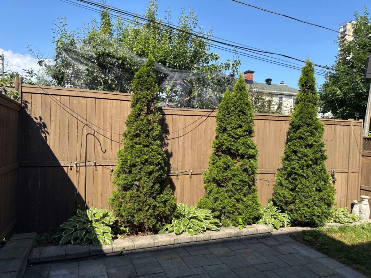 Customer-submitted photo of a failing fence estimated at 3–7 years old (example 7)