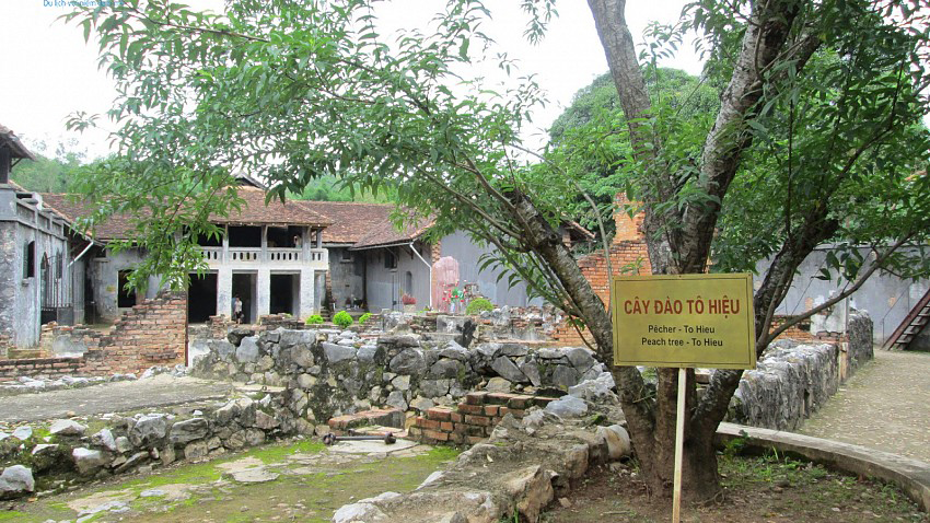 Gallery 2