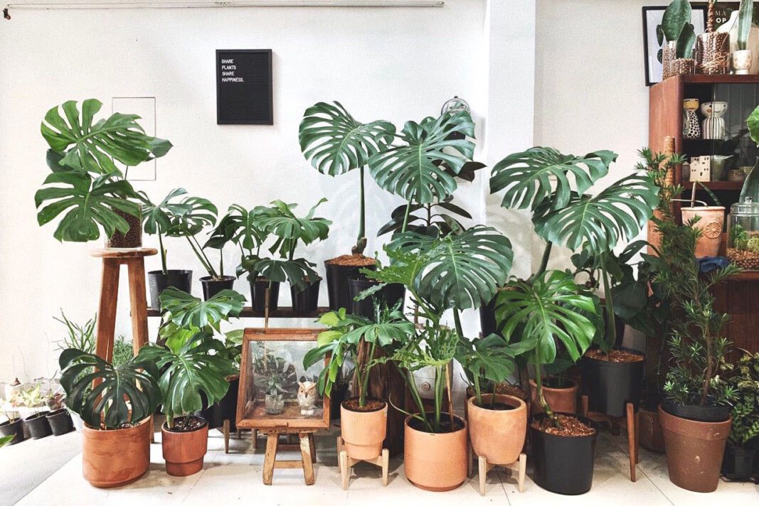 Gallery 2