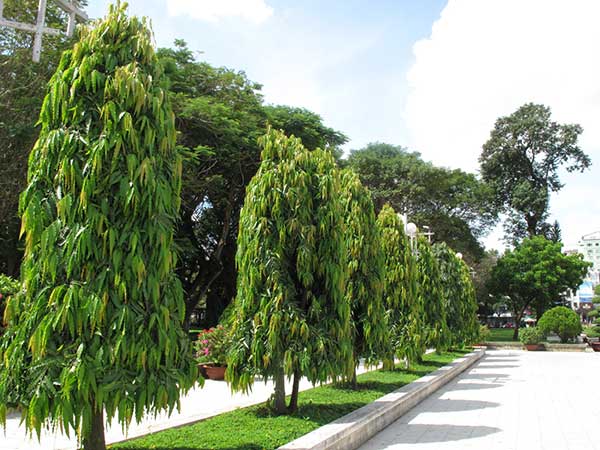 Gallery 2