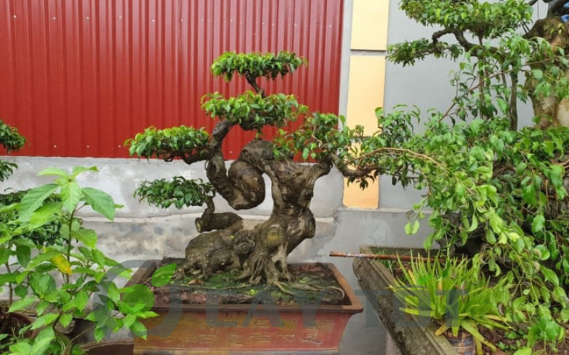 Gallery 3