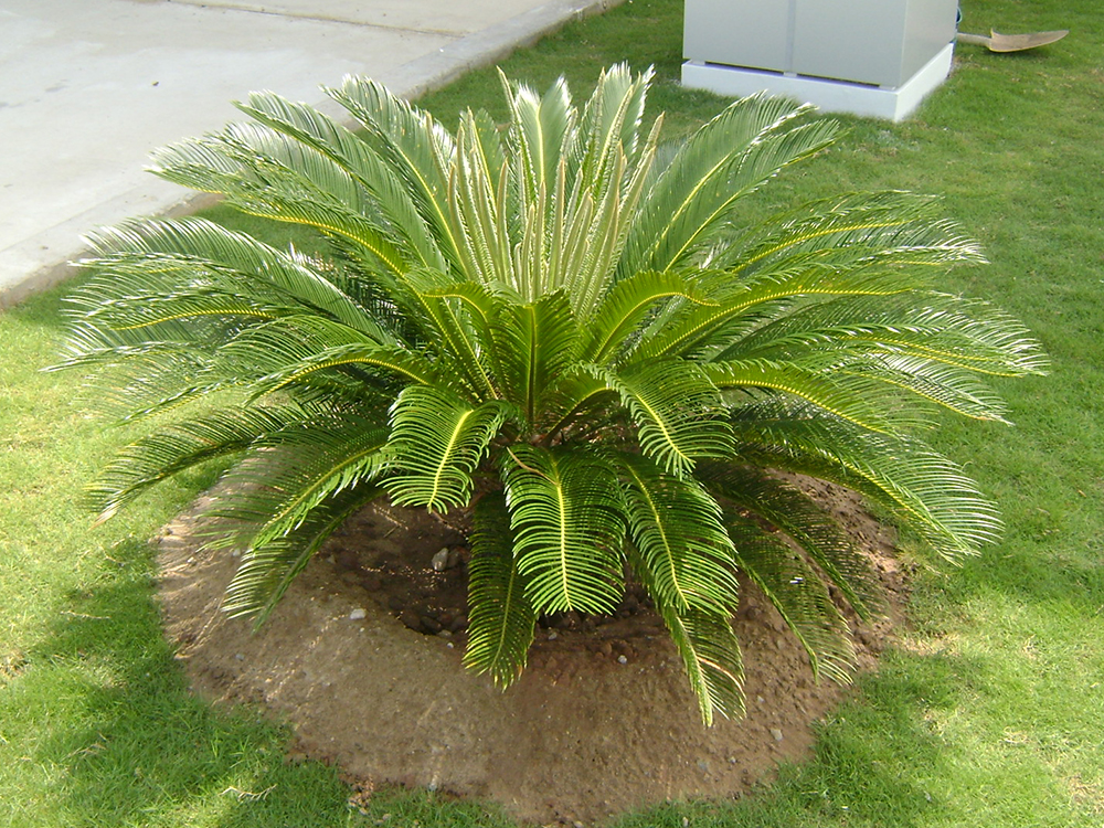 Gallery 2
