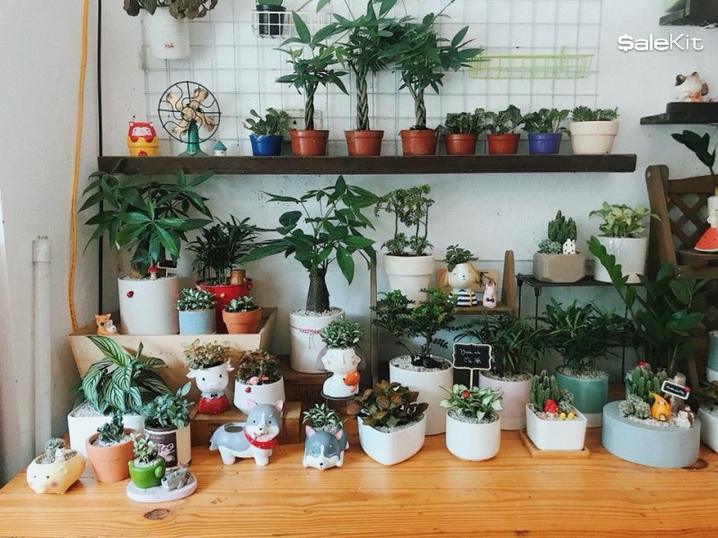 Gallery 1