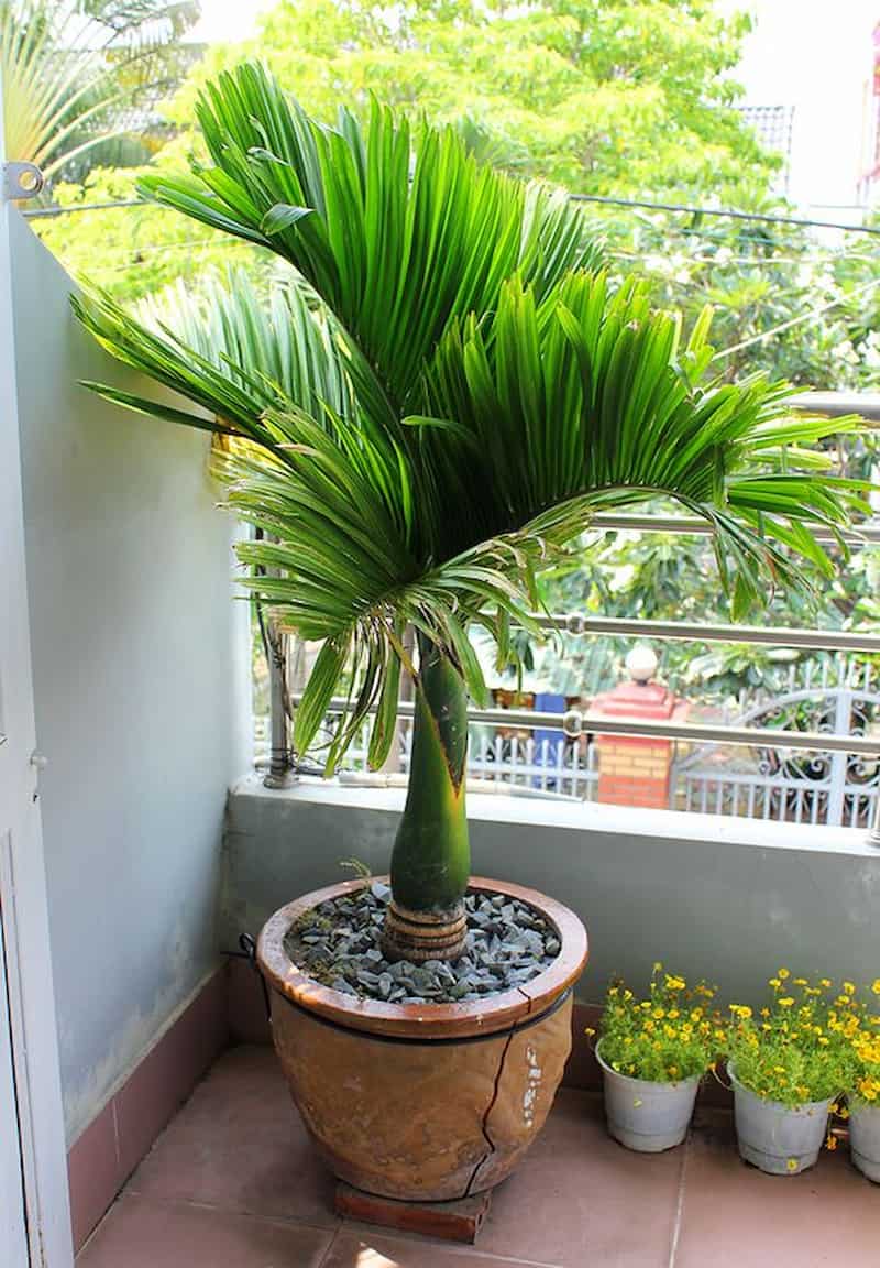 Gallery 1