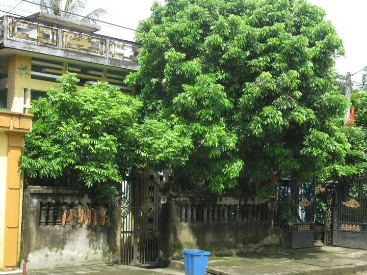 Gallery 1