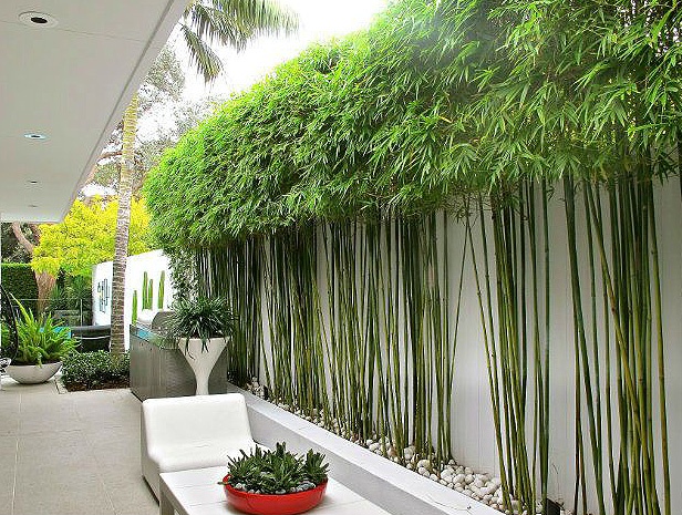 Gallery 2