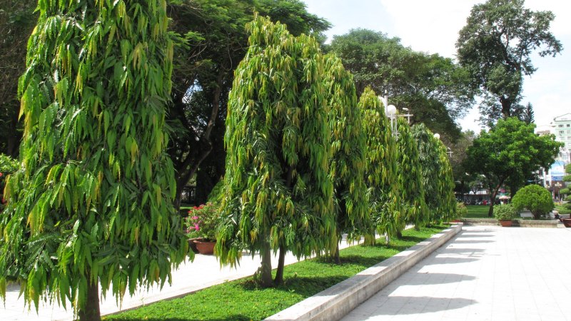 Gallery 3
