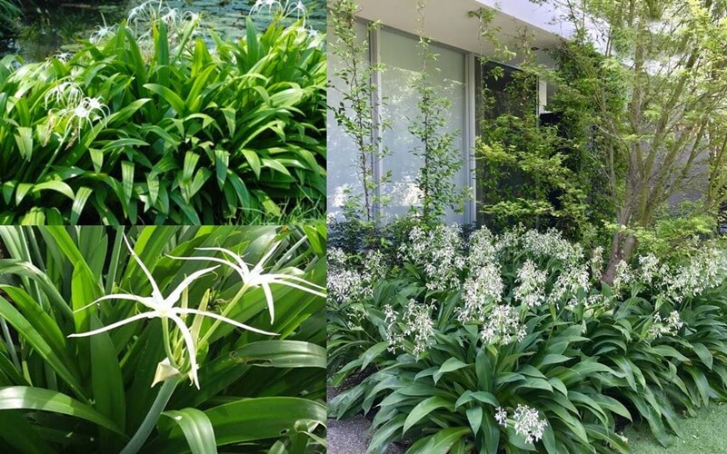 Gallery 2