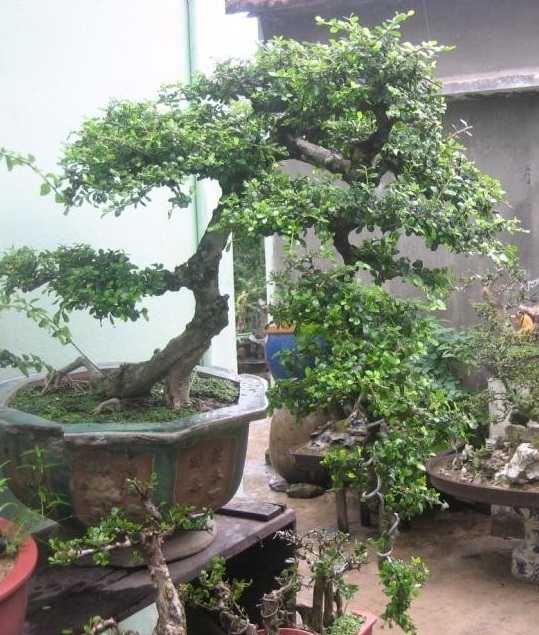 Gallery 2