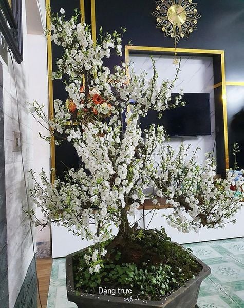 Gallery 1