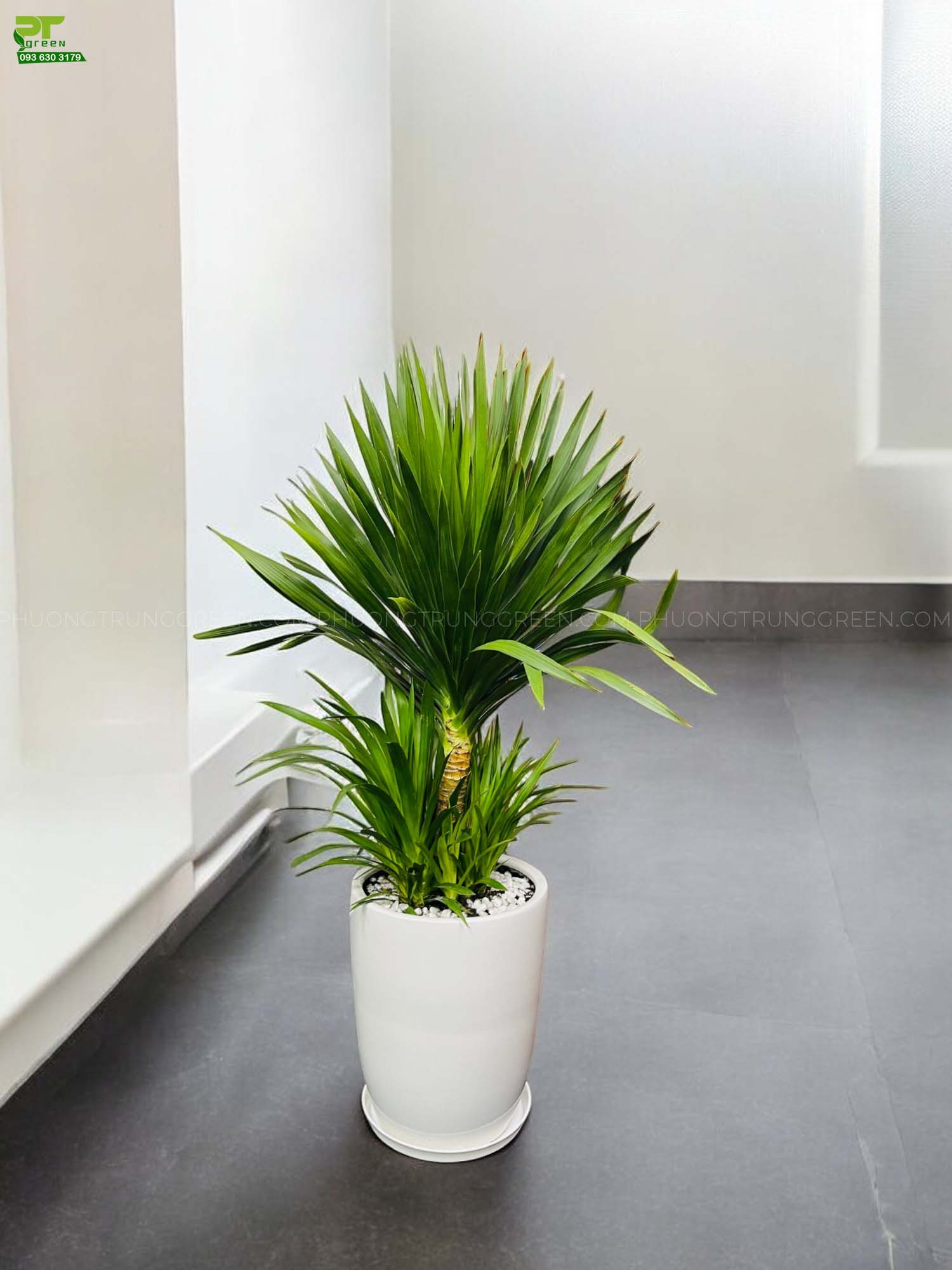 Gallery 2