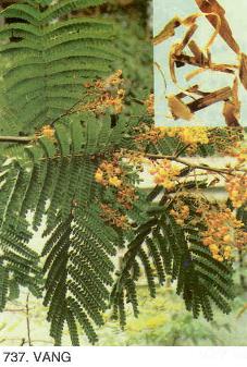 Gallery 2