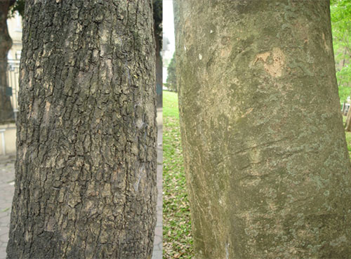 Gallery 2