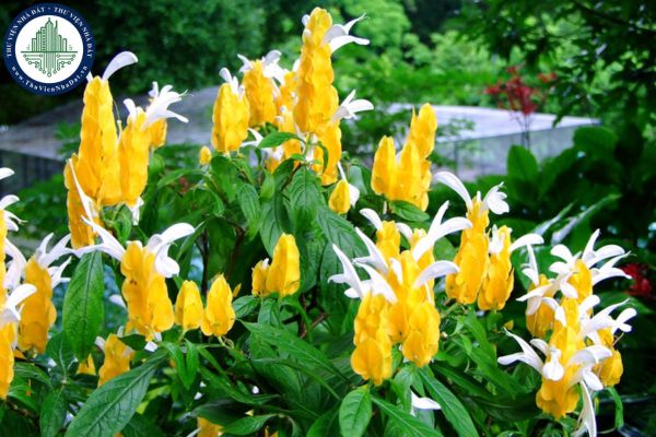 Gallery 2