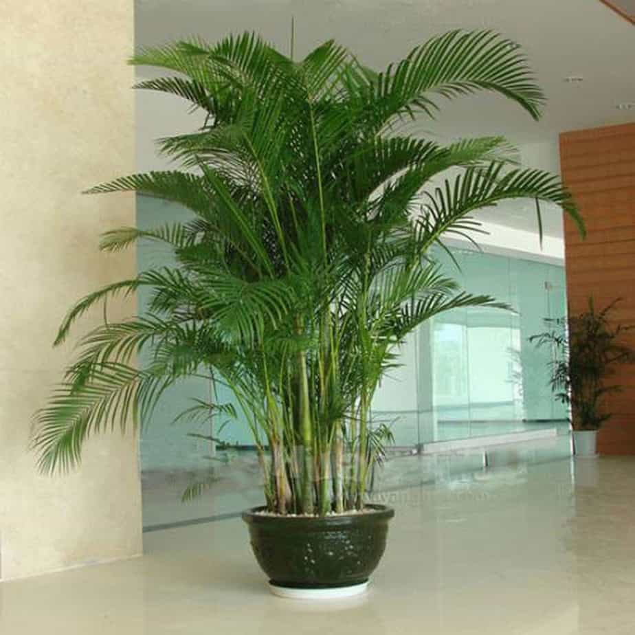 Gallery 1