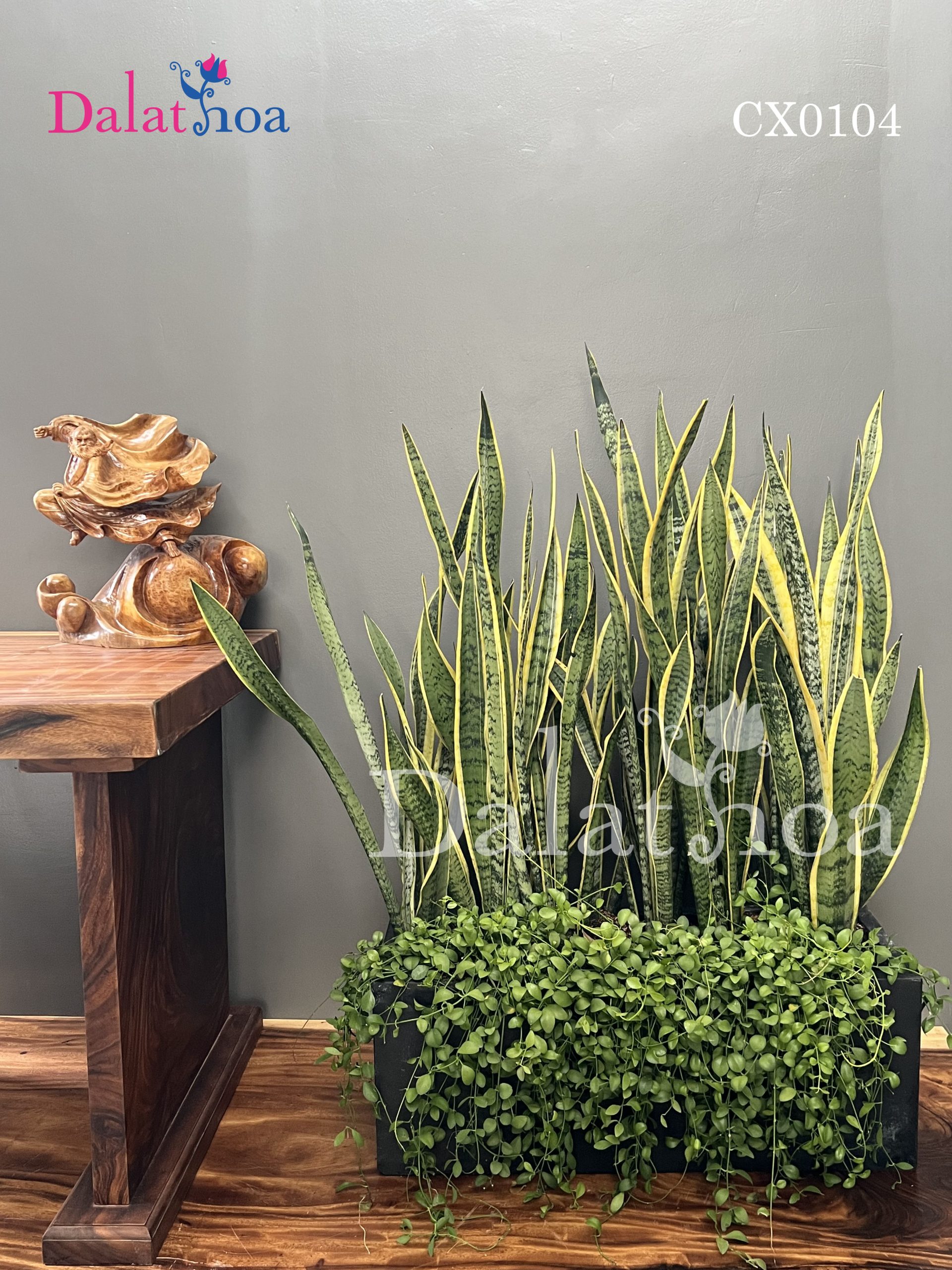 Gallery 2