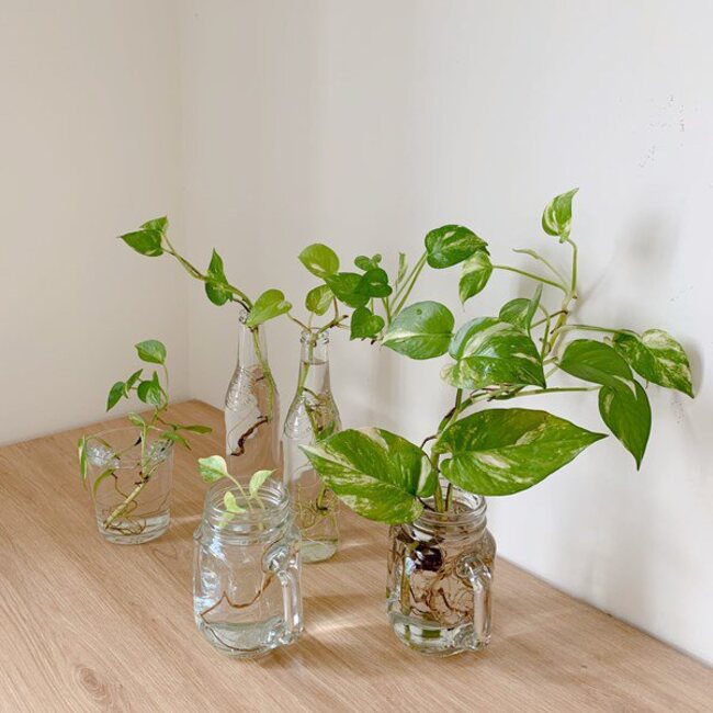 Gallery 3