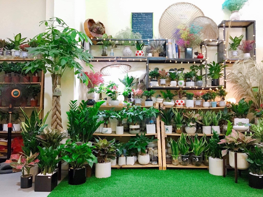 Gallery 1