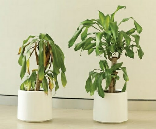Gallery 2