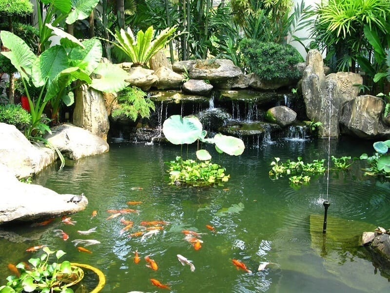 Gallery 2