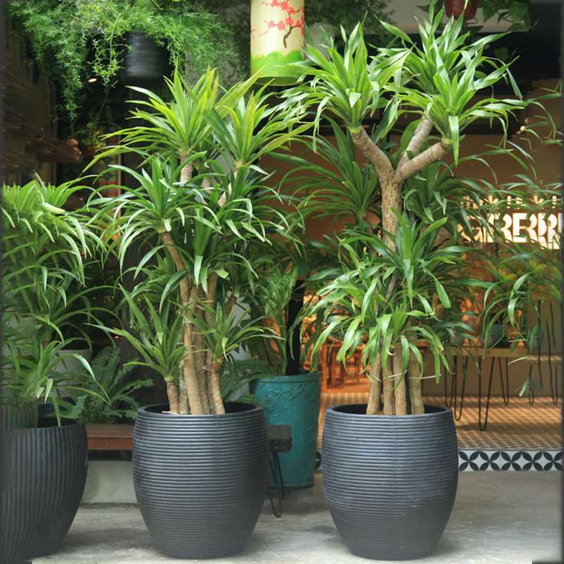 Gallery 2