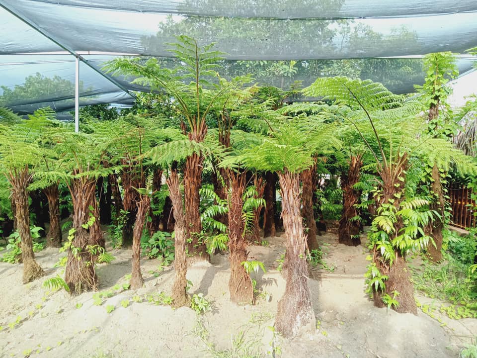 Gallery 2
